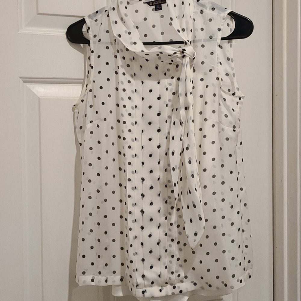 Brooks Brothers Sheer Polka-dot Blouse